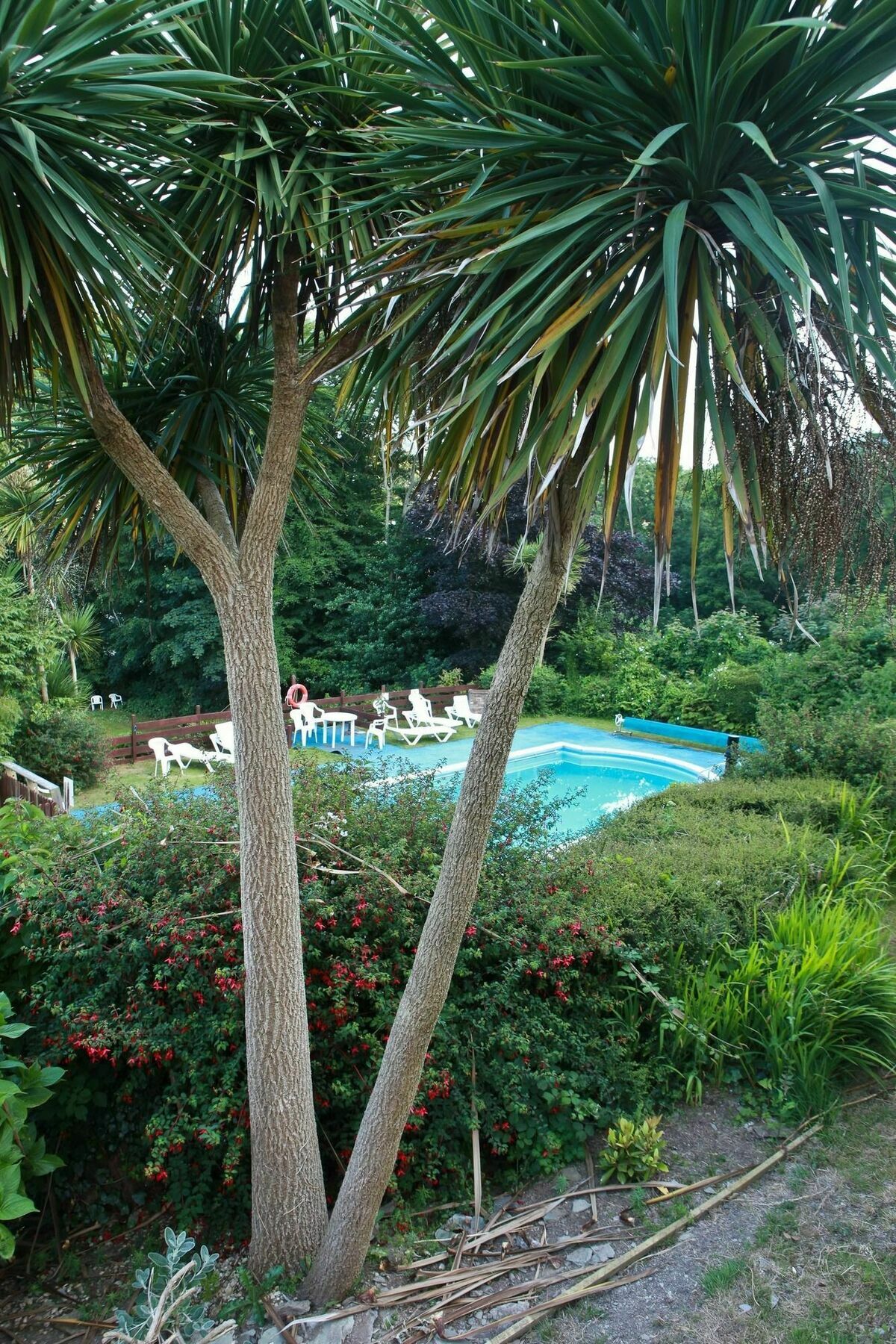 Hotel Epchris House Ilfracombe Exterior foto